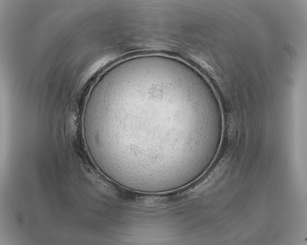 X0000114601163200911091311