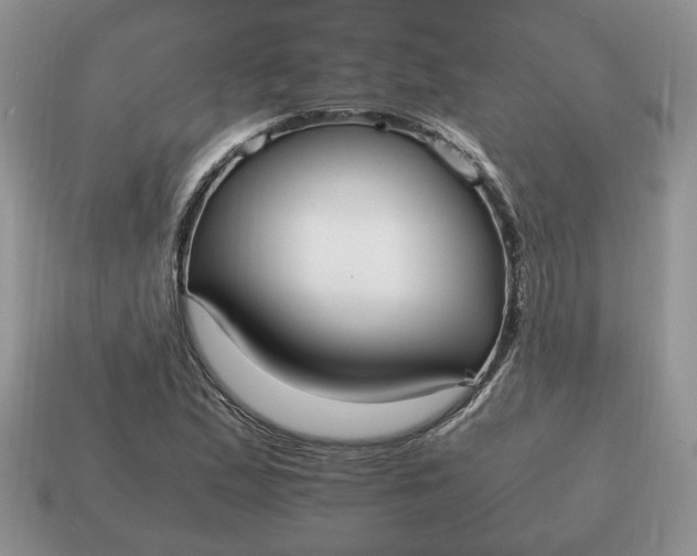 X0000114601167200911091311