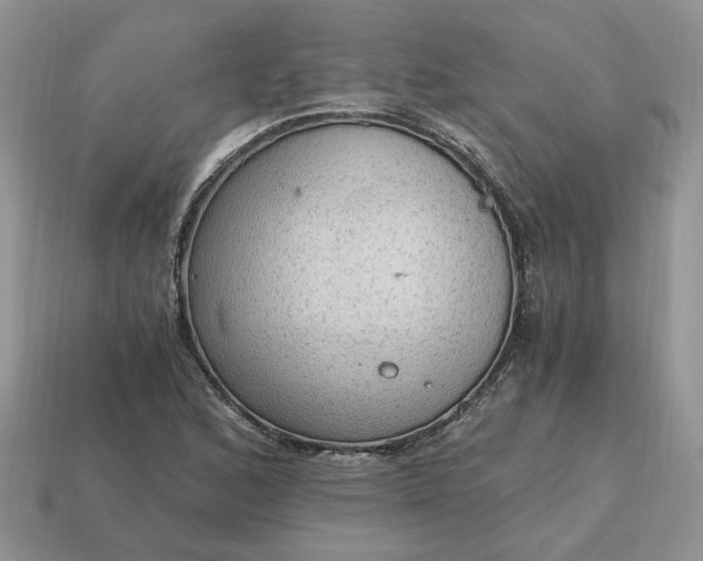 X0000114601168200911091311