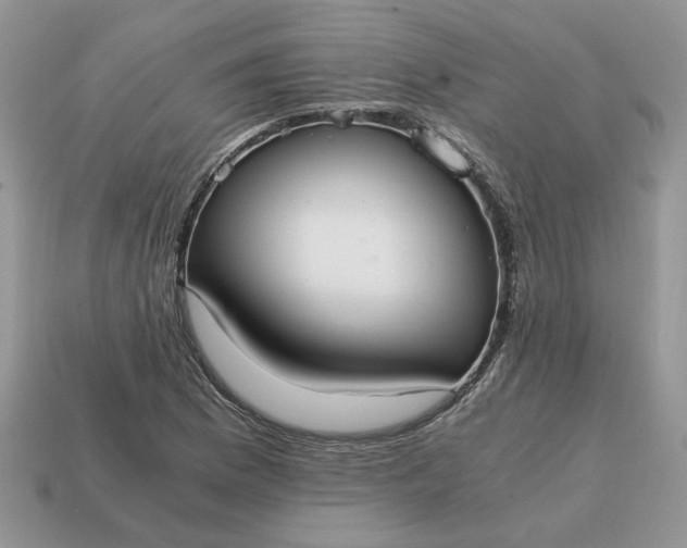 X0000114601169200911091311