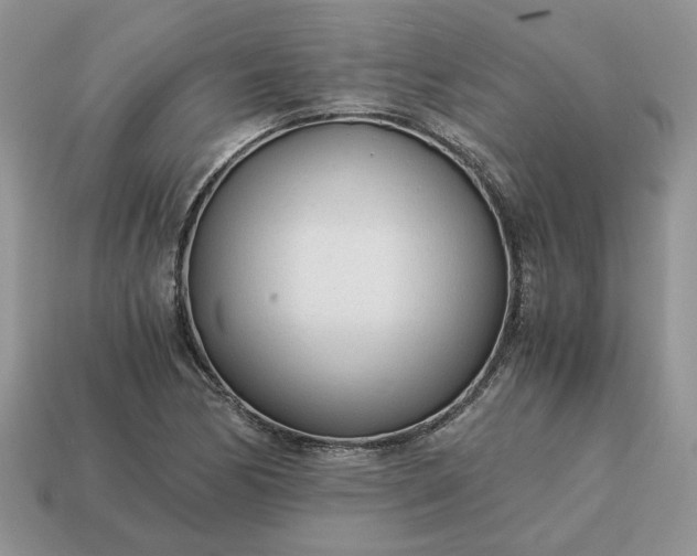 X0000114601170200911091311