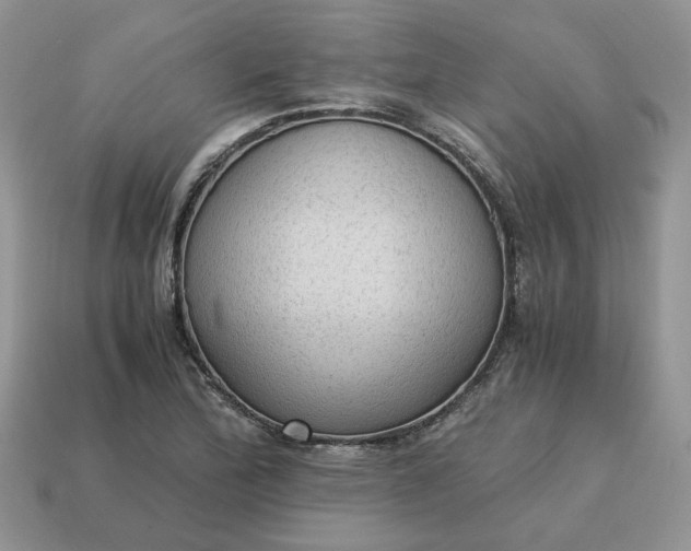 X0000114601172200911091311