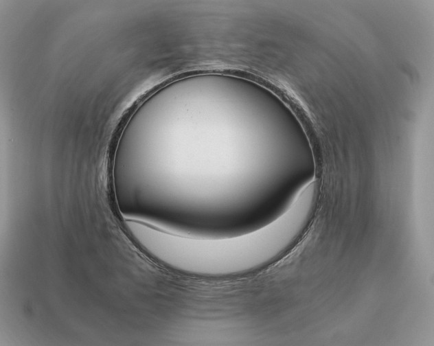 X0000114601173200911091311