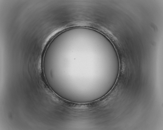 X0000114601174200911091311