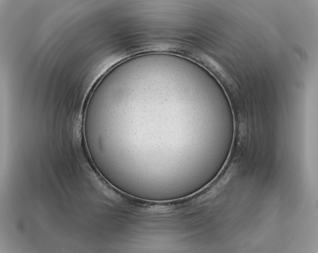 X0000114601178200911091311