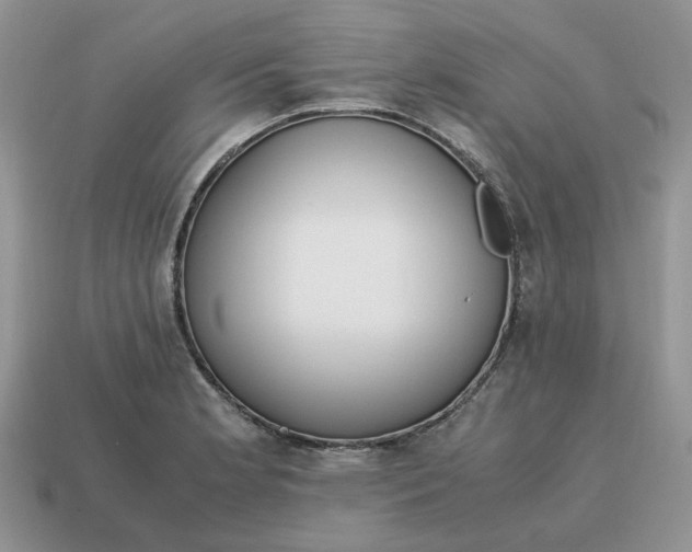 X0000114601181200911091311