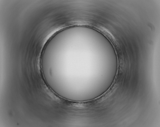 X0000114601182200911091311