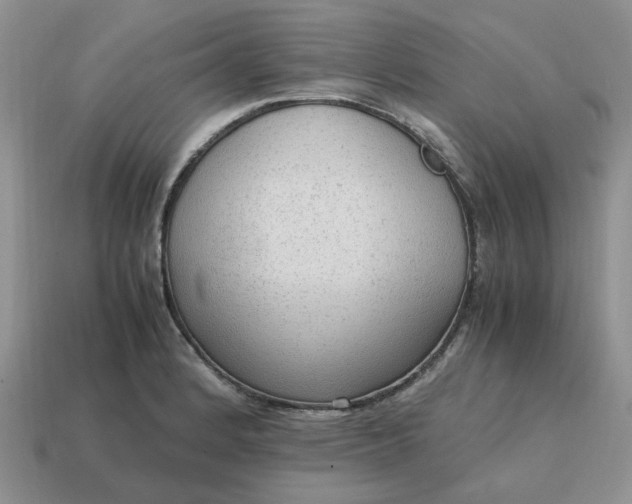 X0000114601184200911091311