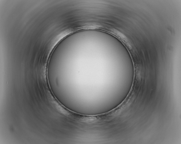 X0000114601186200911091311