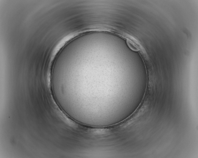 X0000114601188200911091311