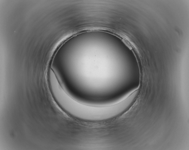 X0000114601189200911091311