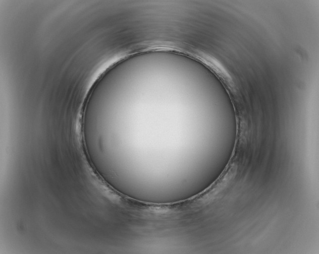 X0000114601190200911091311