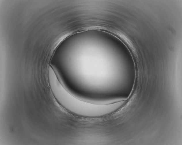 X0000114601193200911091311