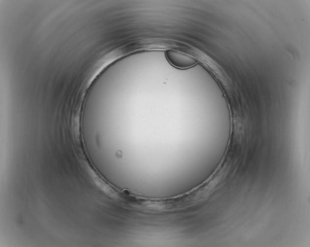 X0000114601194200911091311