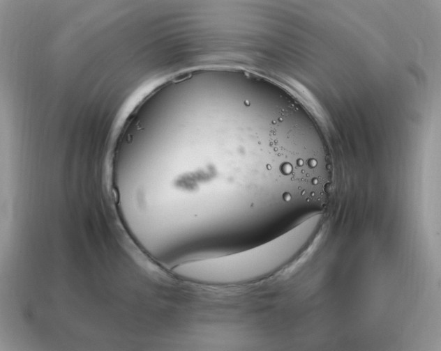 X0000114601196200911091311