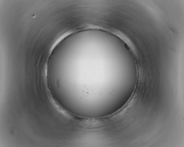 X0000114601198200911091311