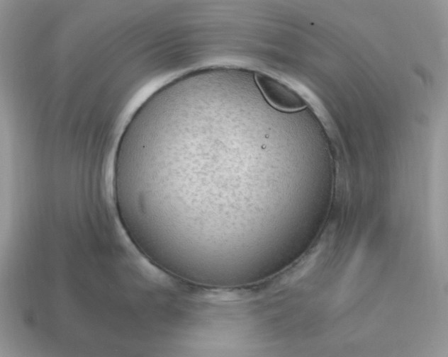 X0000114601199200911091311