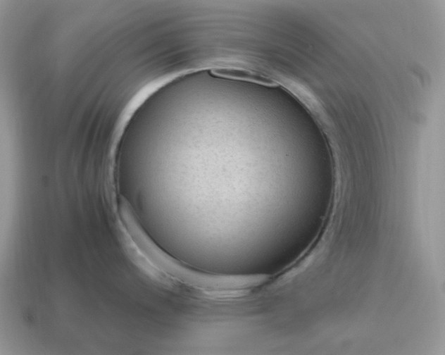 X0000114601200200911091311