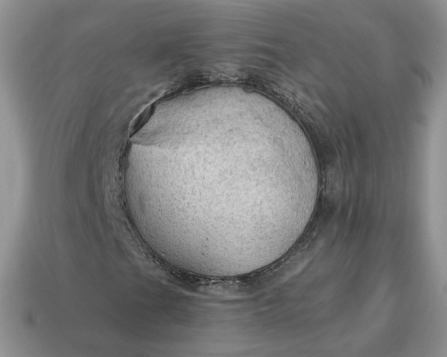 X0000114601201200911091310