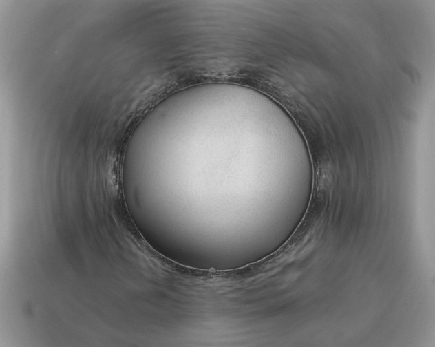 X0000114601202200911091310