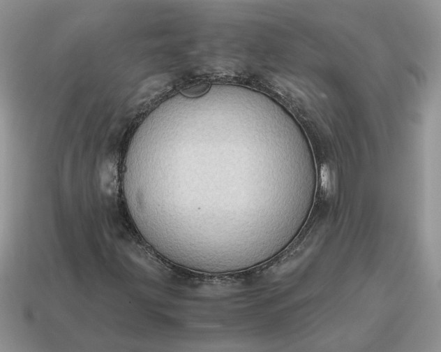 X0000114601203200911091310