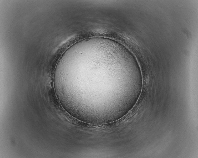 X0000114601205200911091310