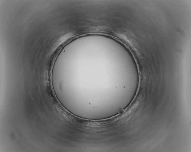 X0000114601211200911091310