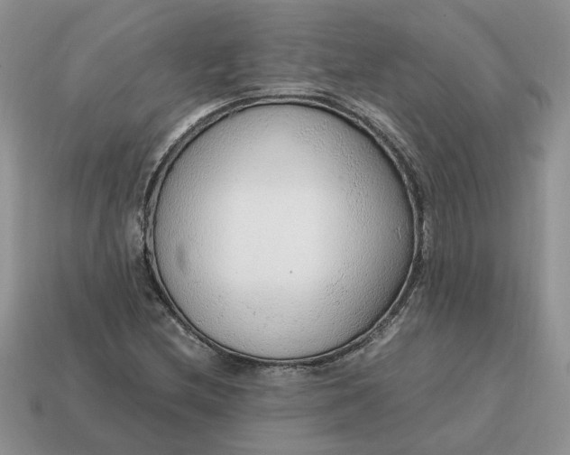 X0000114601212200911091310