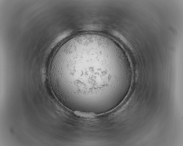 X0000114601213200911091310