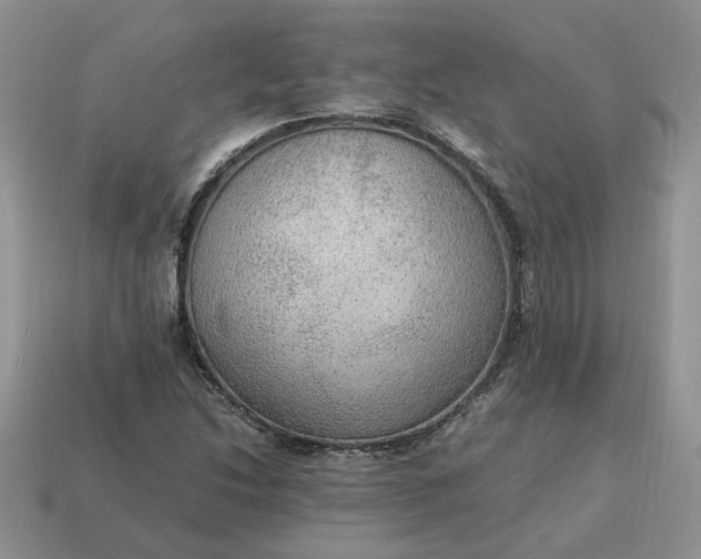 X0000114601214200911091310