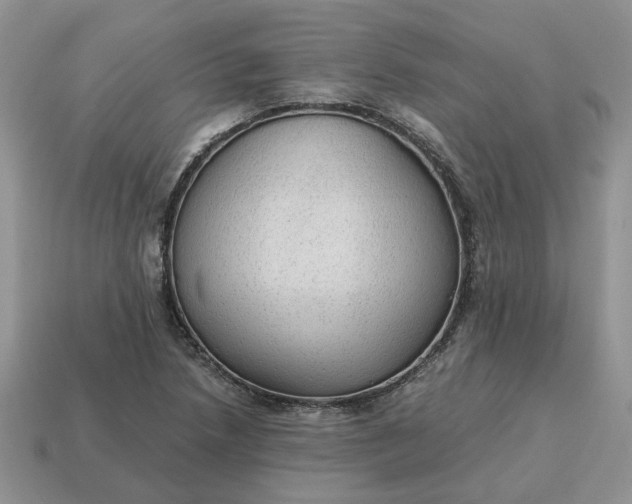 X0000114601218200911091310