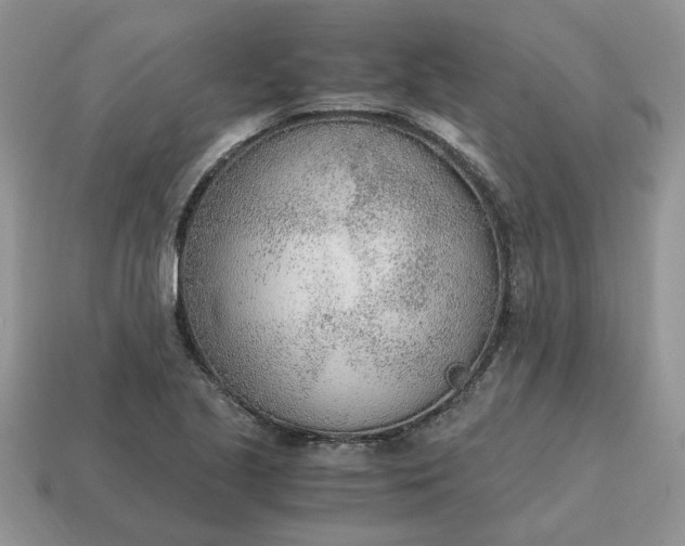 X0000114601221200911091310