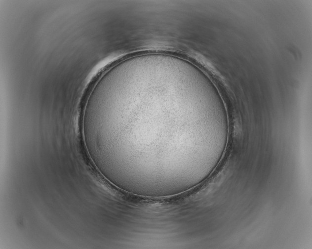 X0000114601222200911091310