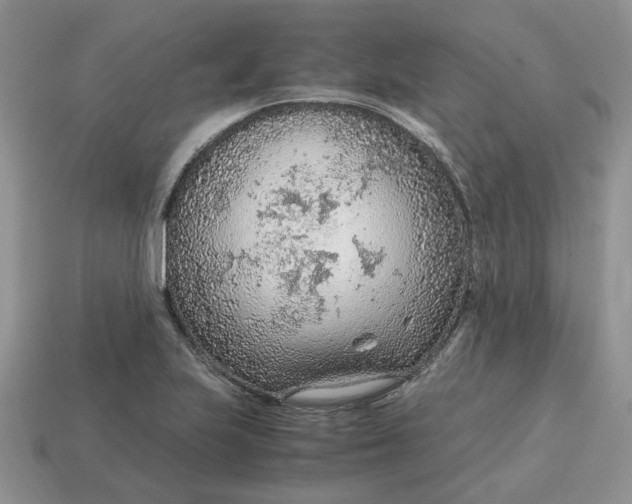 X0000114601223200911091310