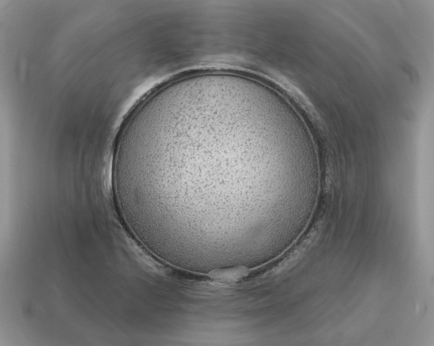 X0000114601224200911091310