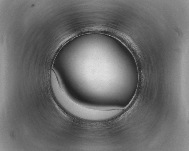 X0000114601225200911091310