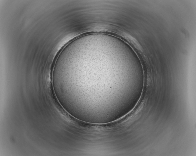 X0000114601226200911091310