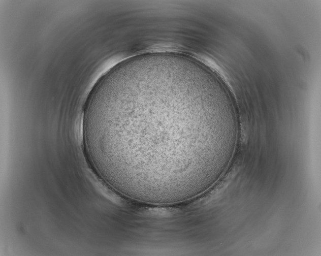 X0000114601227200911091310