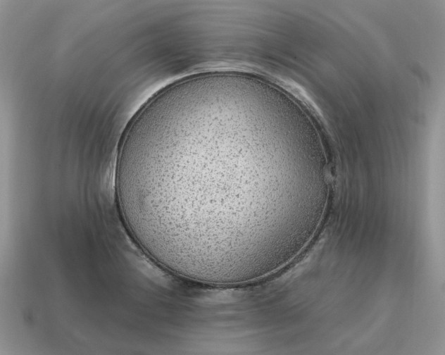 X0000114601228200911091310