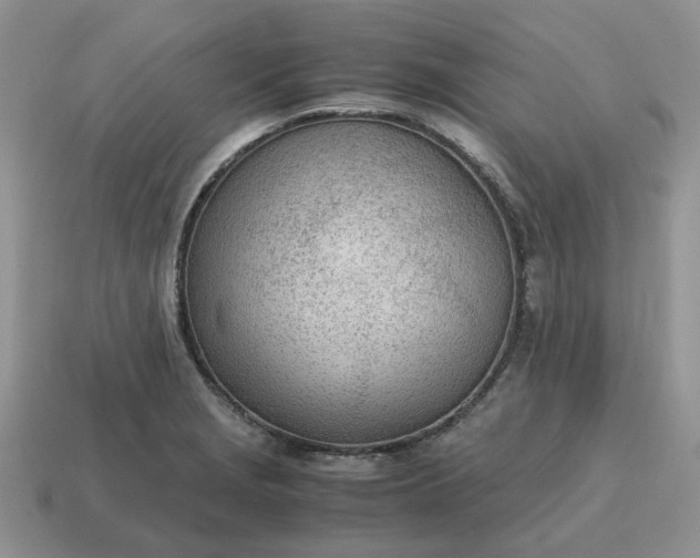 X0000114601229200911091310