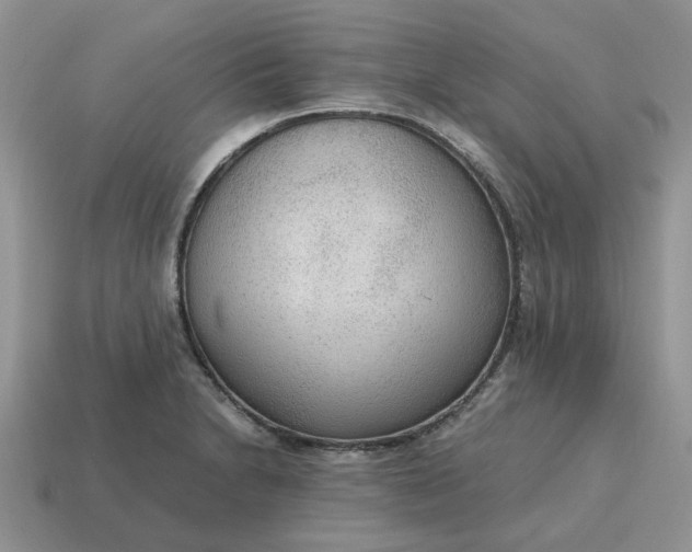 X0000114601230200911091310