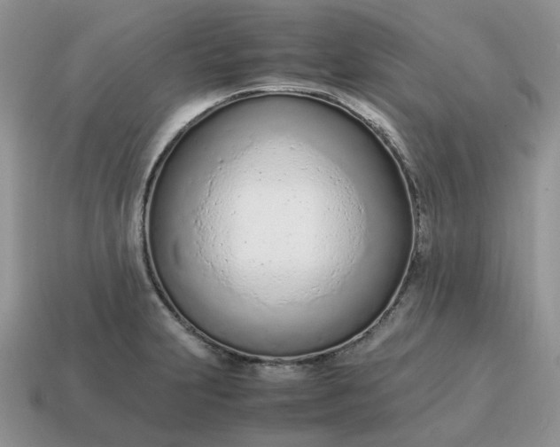 X0000114601231200911091310