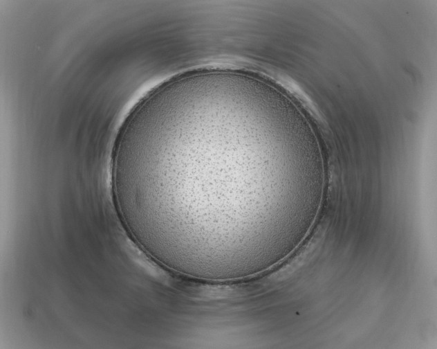 X0000114601232200911091310