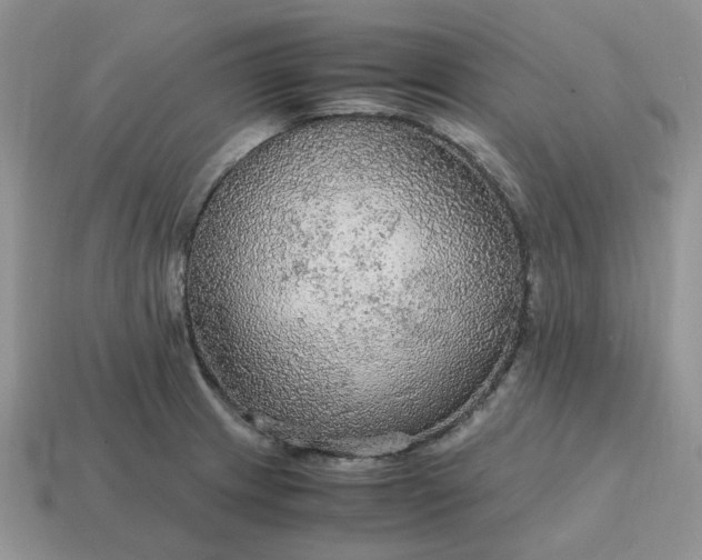 X0000114601233200911091311