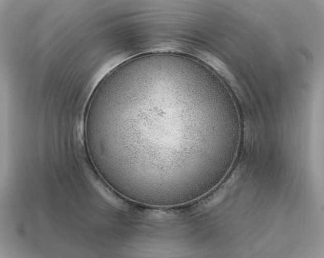 X0000114601234200911091311