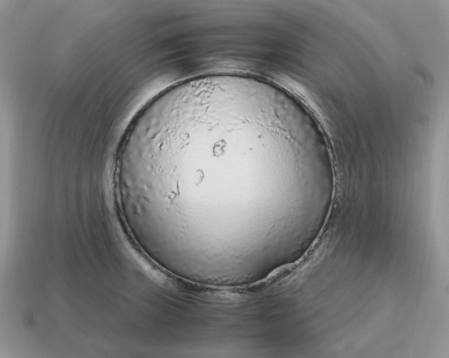 X0000114601235200911091311