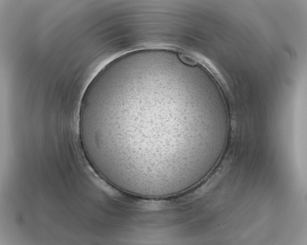 X0000114601236200911091311