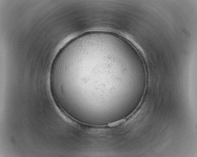 X0000114601237200911091311