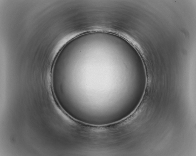 X0000114601239200911091311