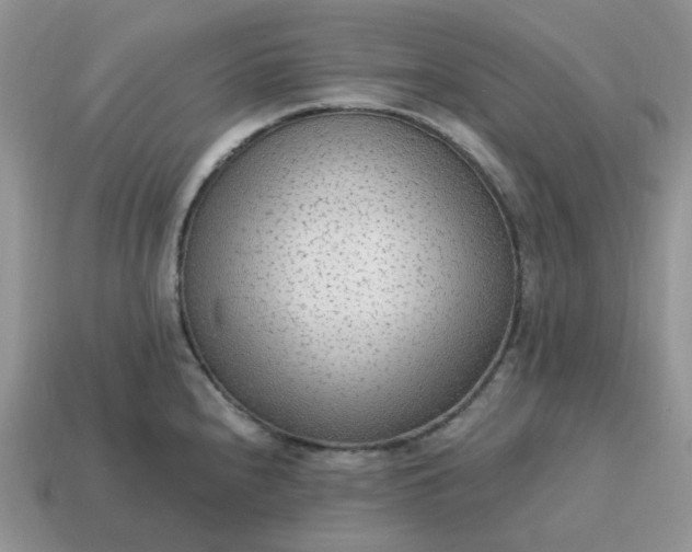 X0000114601240200911091311